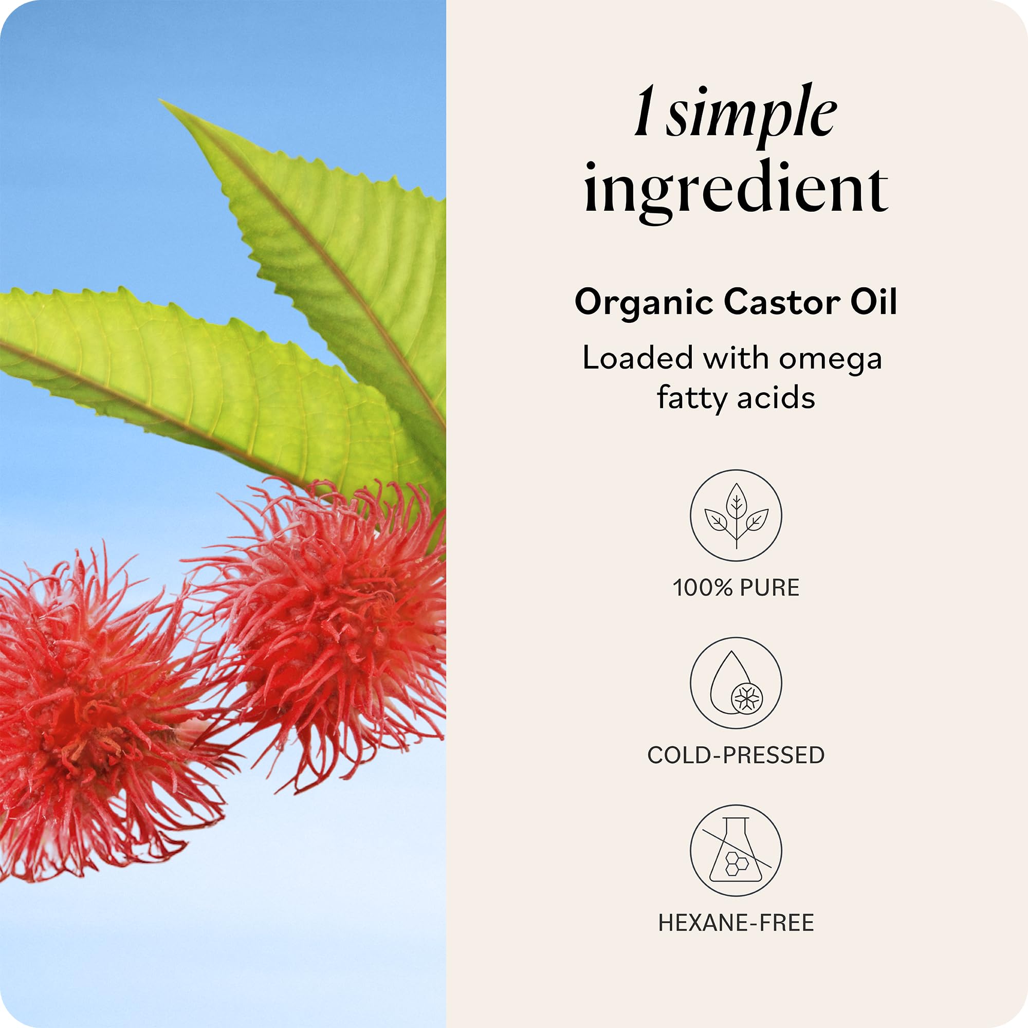 Sky Organics Castor Oil for eyebrows and lashes care routine.