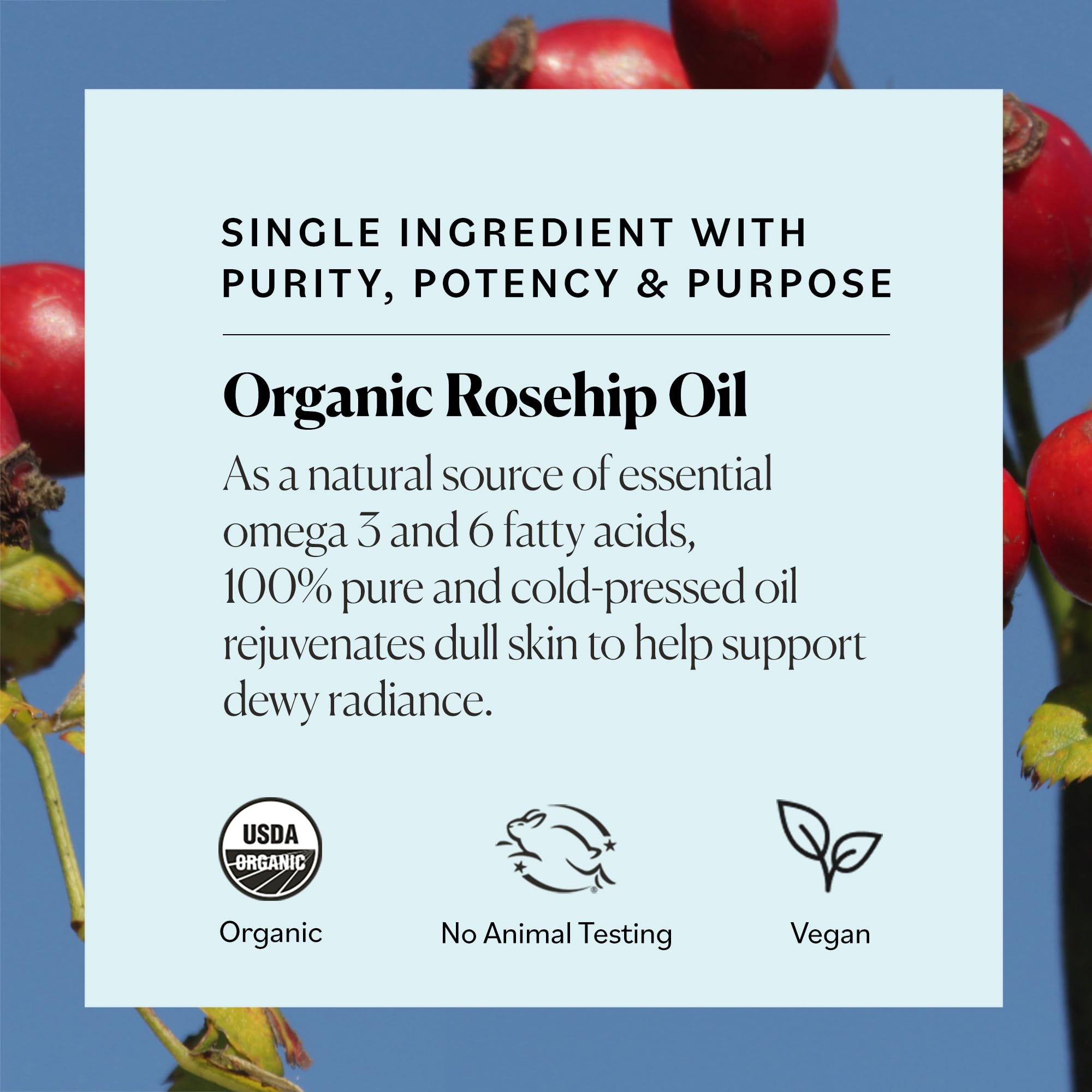 Sky Organics Rosehip Oil applied on skin for a dewy glow.
