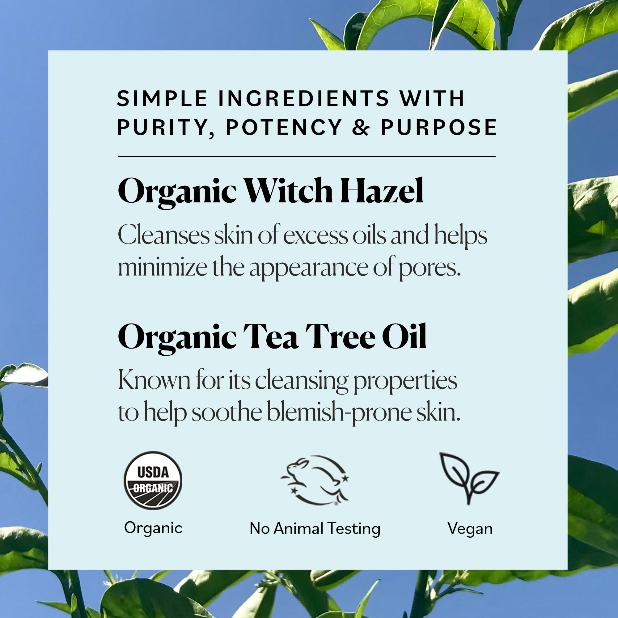 Sky Organics toner in a morning skincare ritual for refreshed skin.