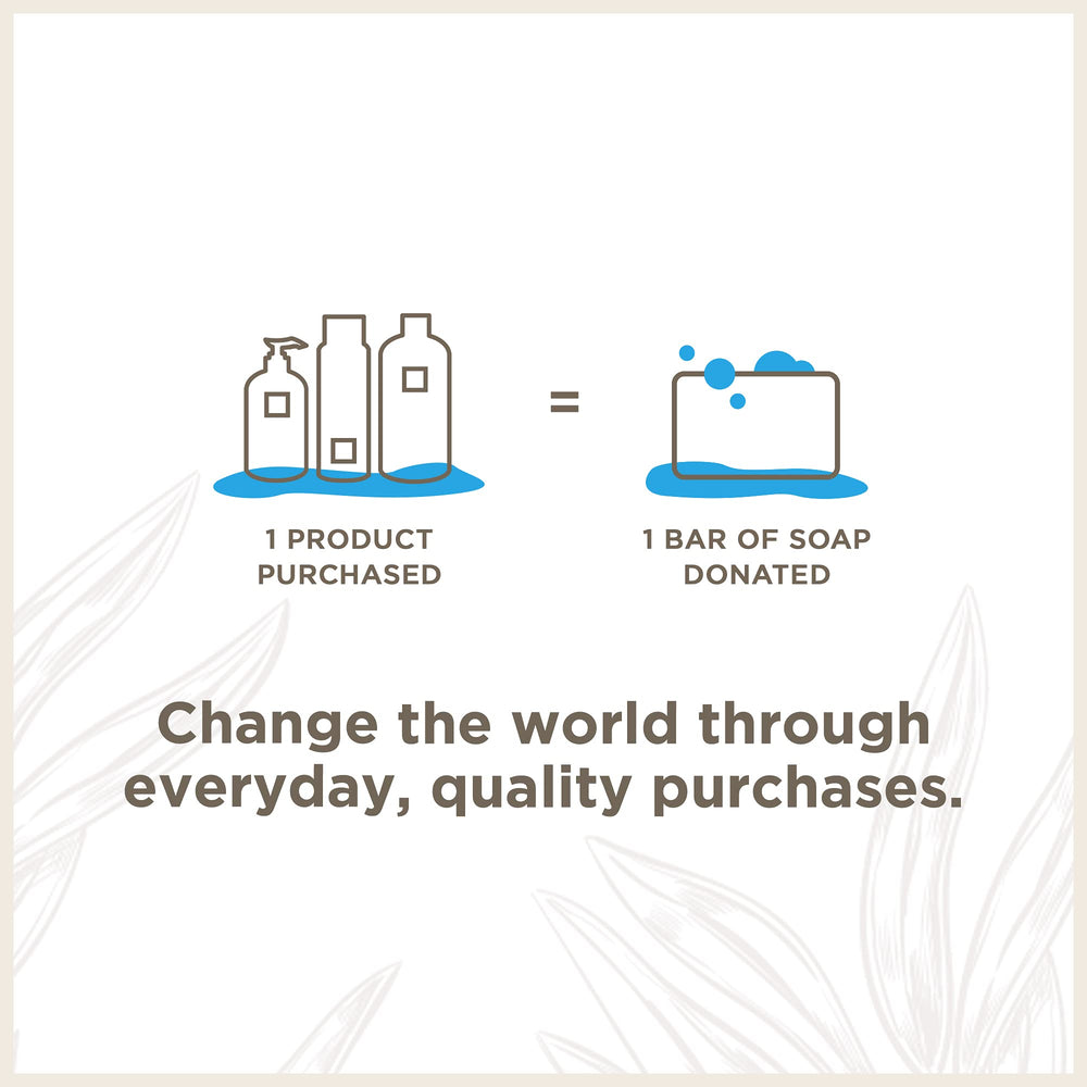 Soapbox Coconut Oil Shampoo color safe label emphasizes silicone and sulfate free care