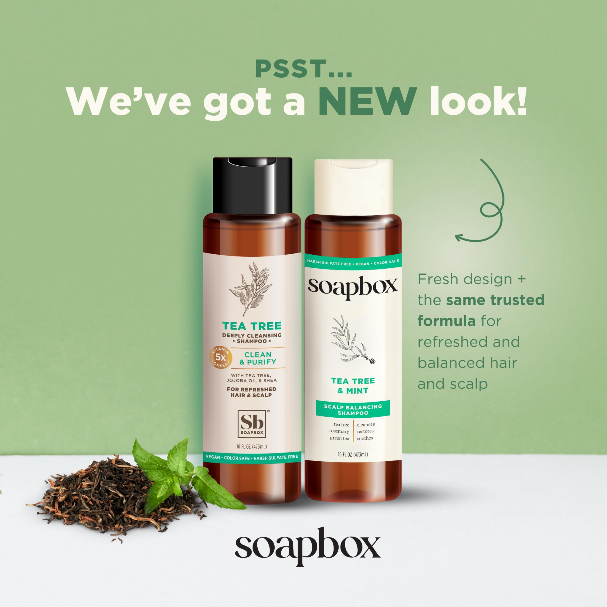 Soapbox Tea Tree Conditioner bottle pour gentle detangling and lightweight hydration for all hair types.