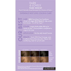 SoftSheen Dark and Lovely Honey Blonde application steps guide at-home coloring.