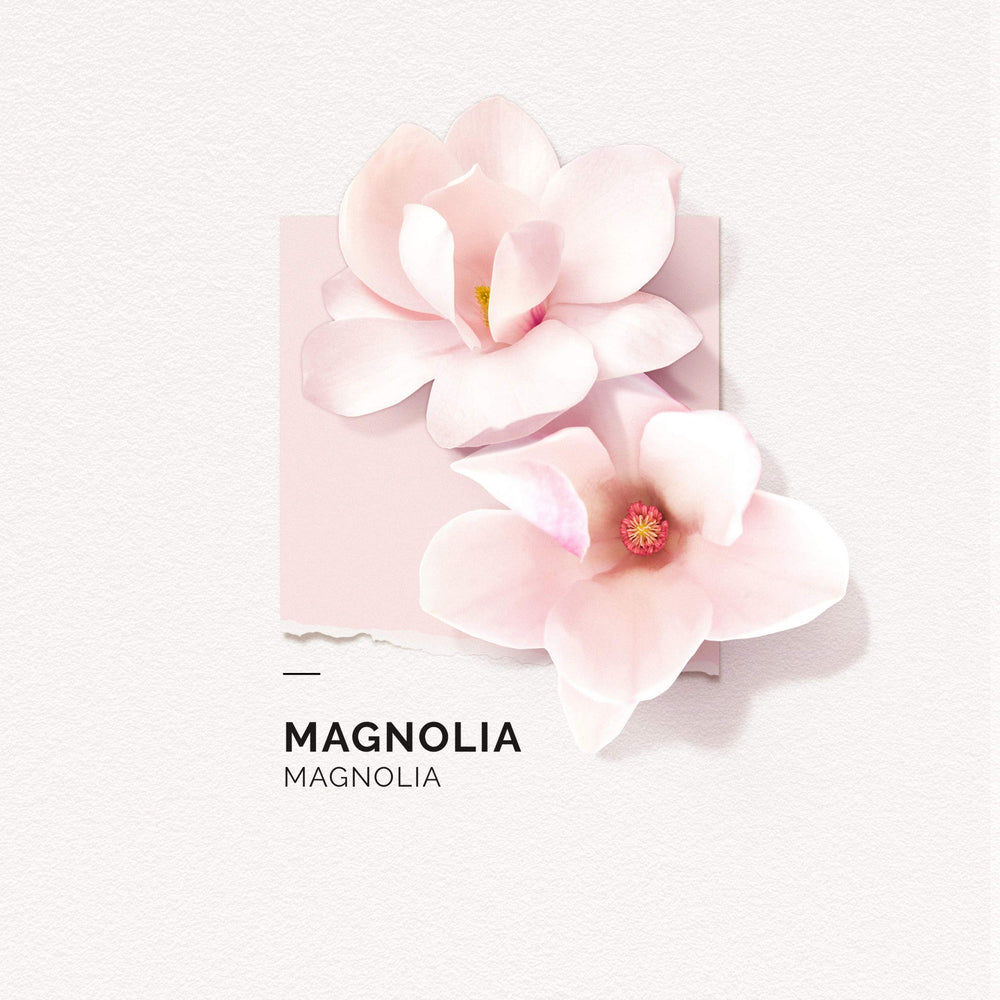 Solinotes Magnolia spray application shows easy fragrance refresh