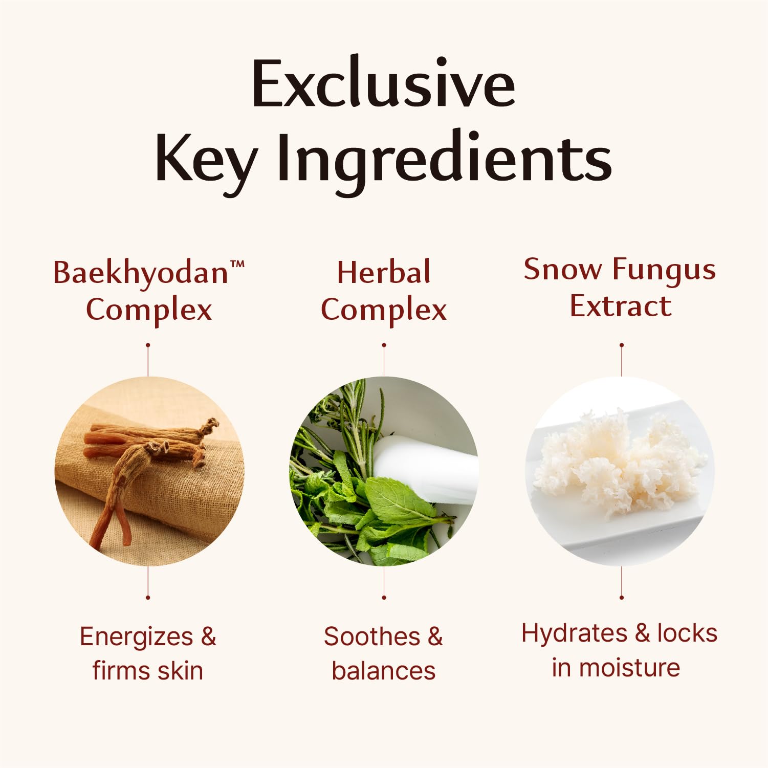 Sooryehan Hyobidam Fermented Cream wild ginseng from Mount Jiri visual