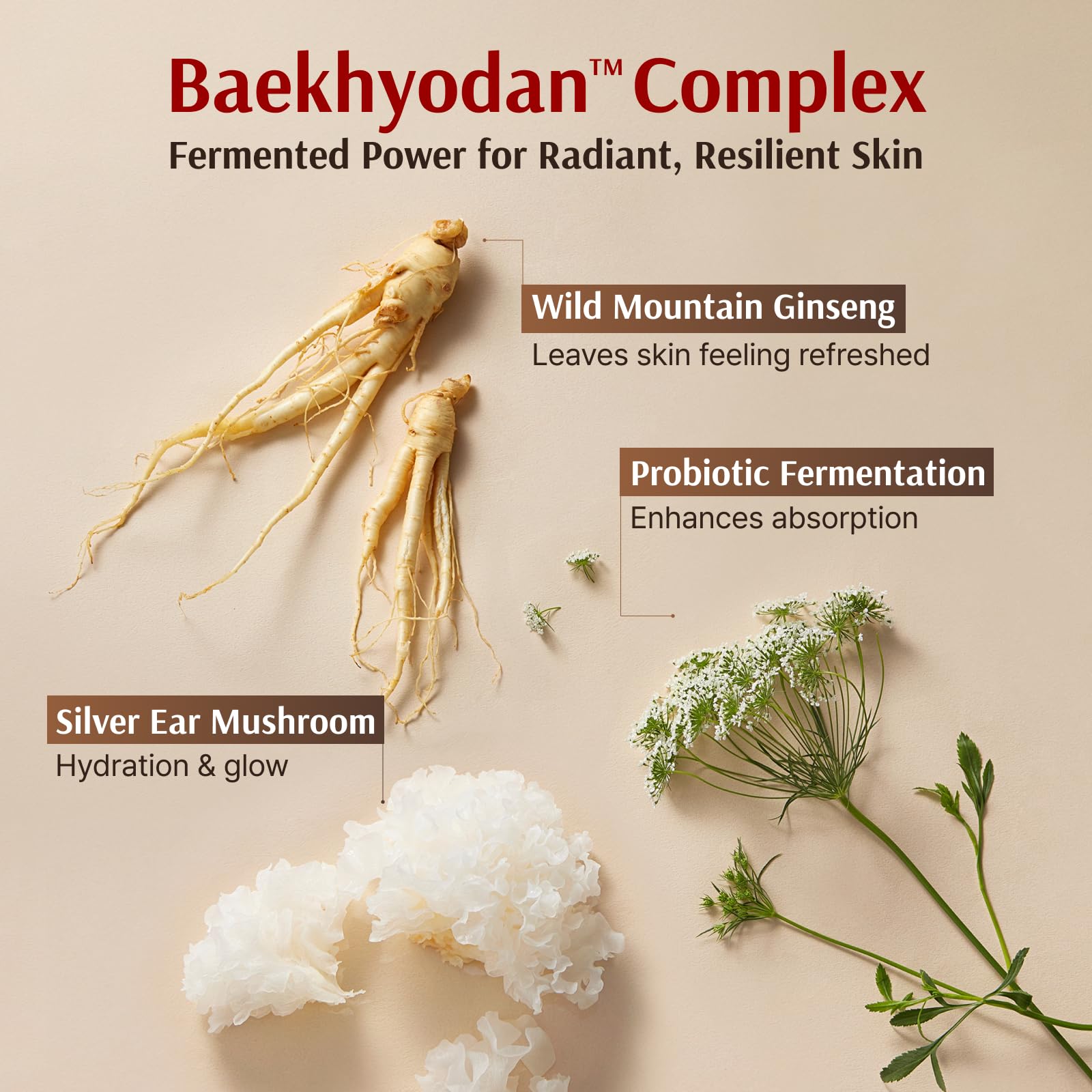Sooryehan wild ginseng Mount Jiri ingredient highlight revitalization