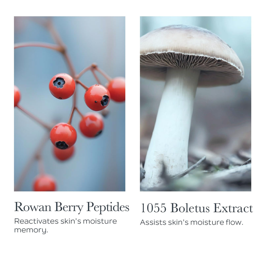 SOTHYS Hydrating Velvet Youth Cream ingredients rowan berry peptides support skin resilience