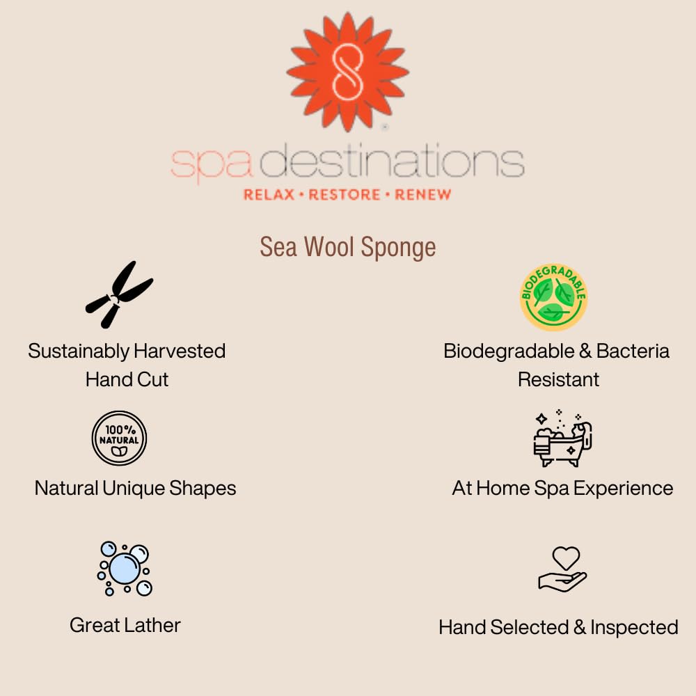 Spa Destinations natural sea wool sponge compact travel-friendly bath companion.