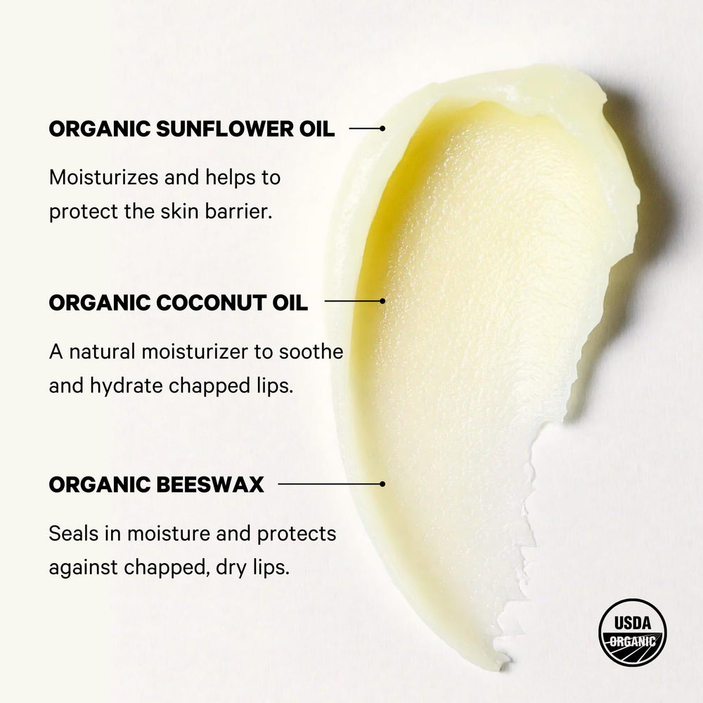 Space Camp Wellness jumbo lip balm salted caramel ingredients chart highlighting organic flavors.