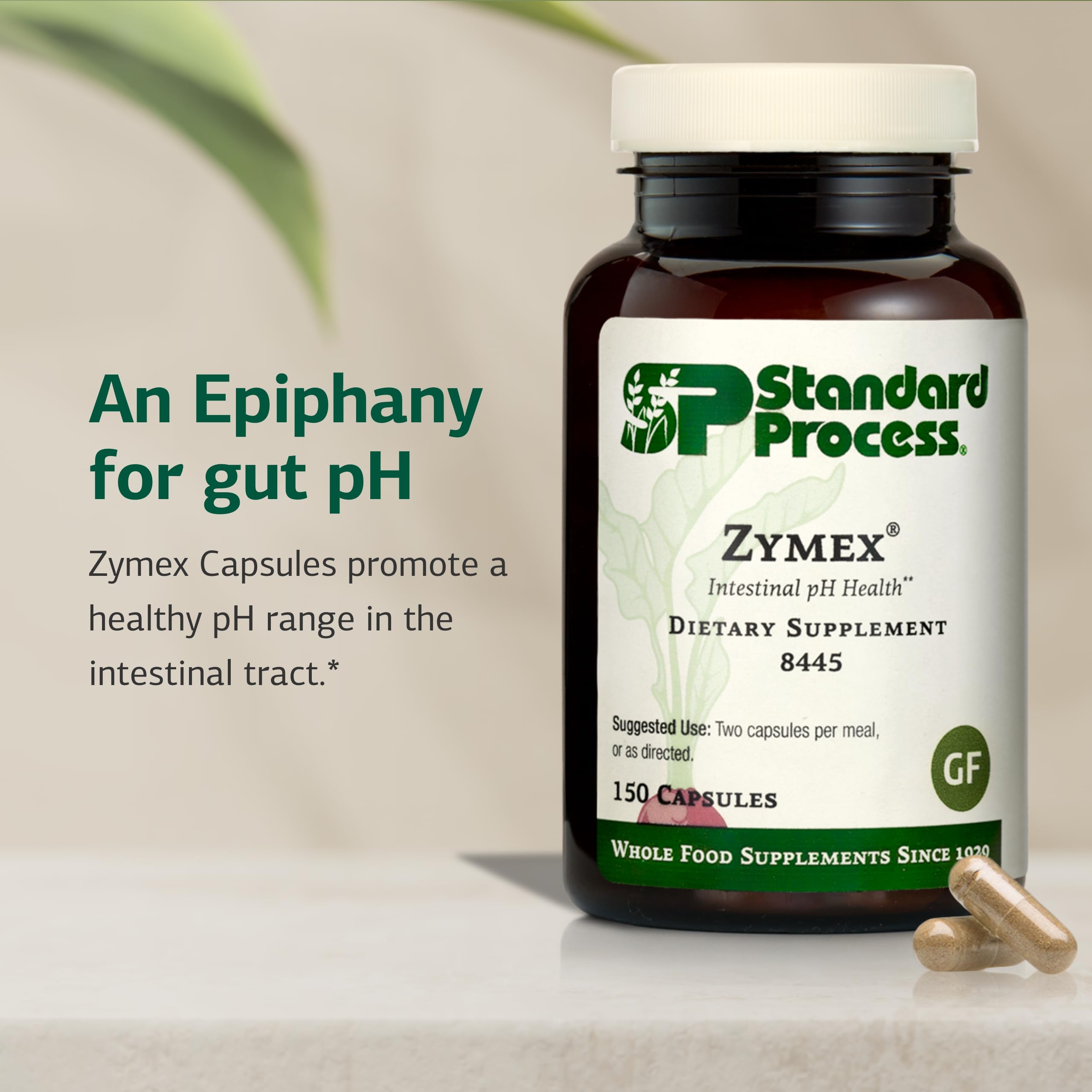 Standard Process Zymex capsules closeup emphasizes easy daily intake for digestive health support.