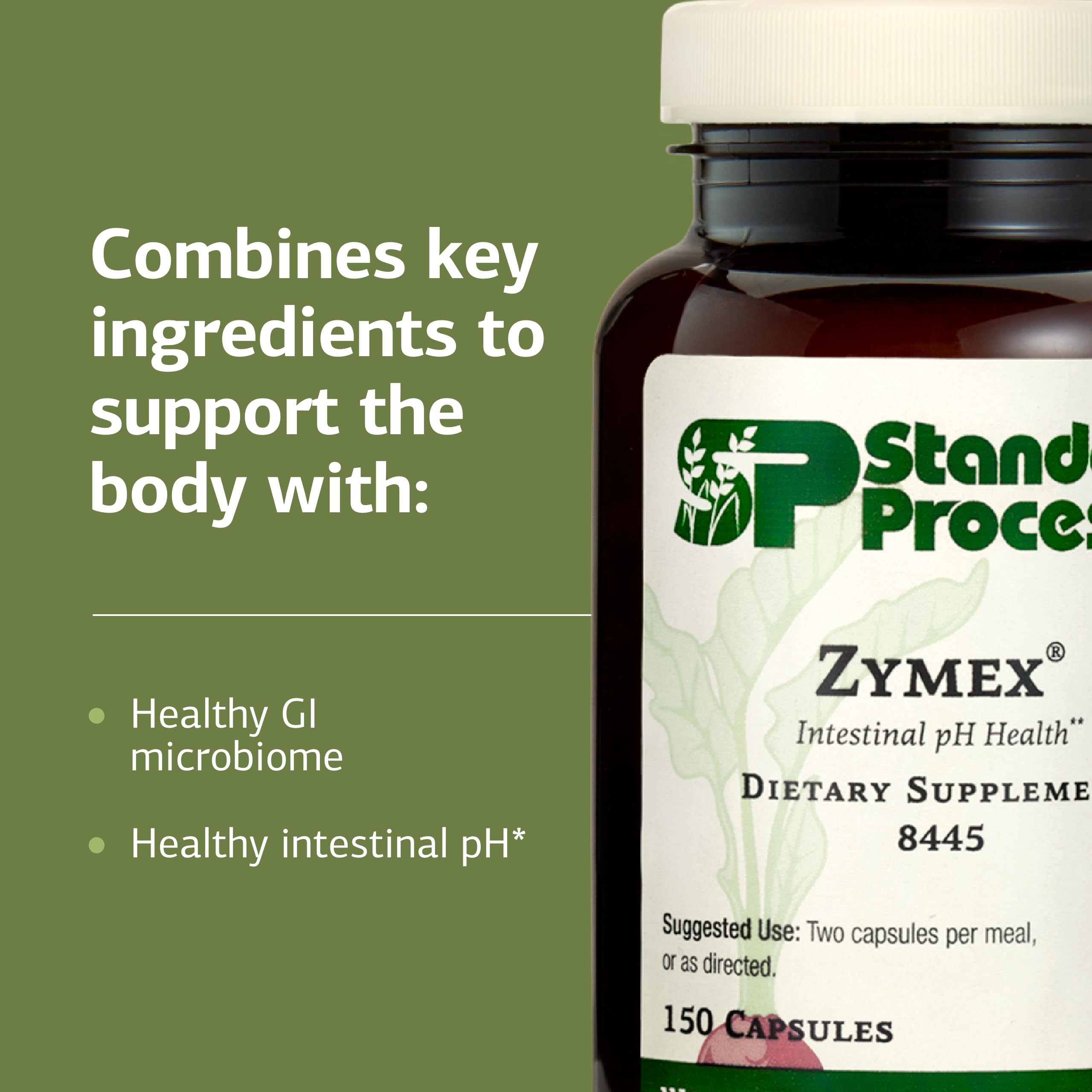 Standard Process Zymex digestive system icon communicates balanced pH and microbiome-friendly concepts.