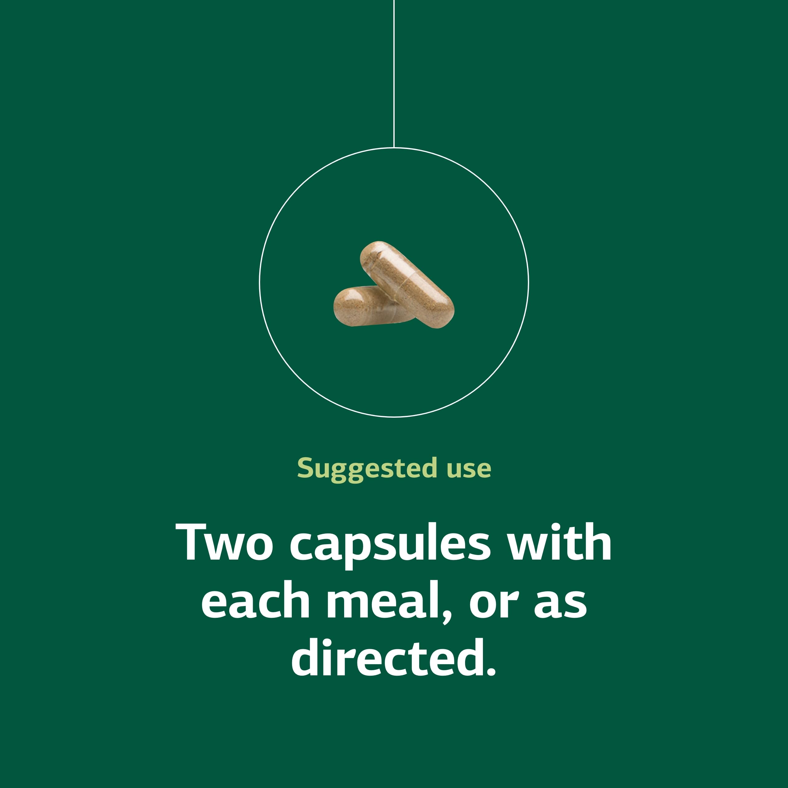 Standard Process Zymex gluten-free dairy-free icons reassure dietary compatibility and inclusivity.