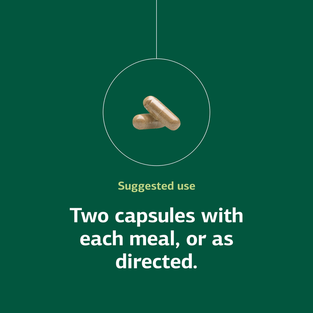 Standard Process Zymex gluten-free dairy-free icons reassure dietary compatibility and inclusivity.