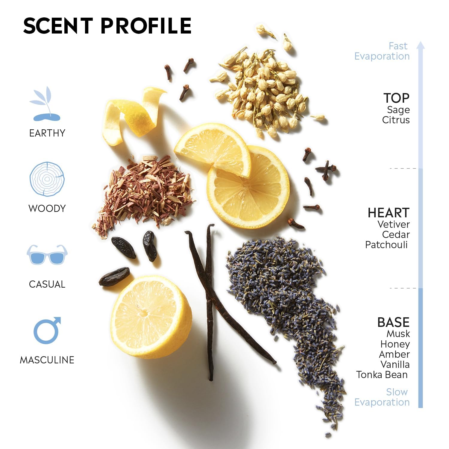 Stetson Original Aftershave note map highlights sage and citrus for a bright opening.