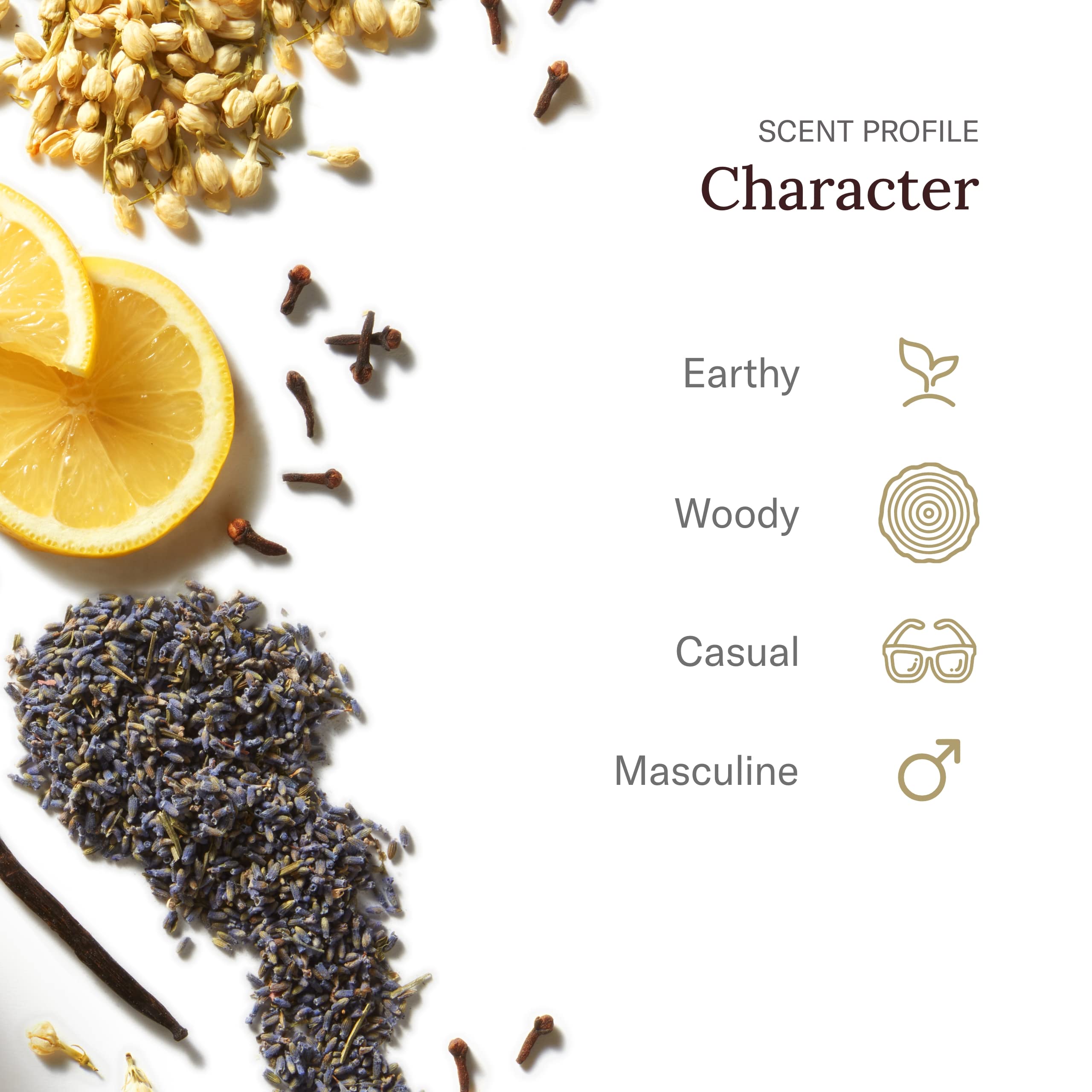 Stetson original fragrance scent notes chart emphasizes citrus woody masculine aroma.