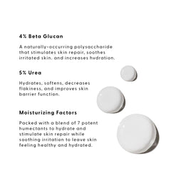 Stratia Aqua Factory Toner application routine demonstrates soothing skin ritual.