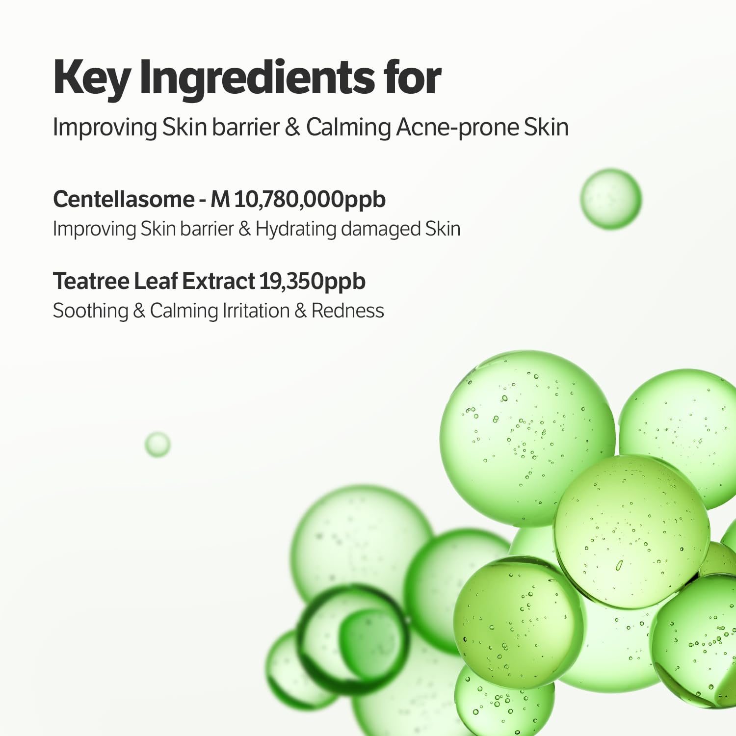 SUNGBOON EDITOR tea tree extract swirl conveys blemish-friendly balance for night use.