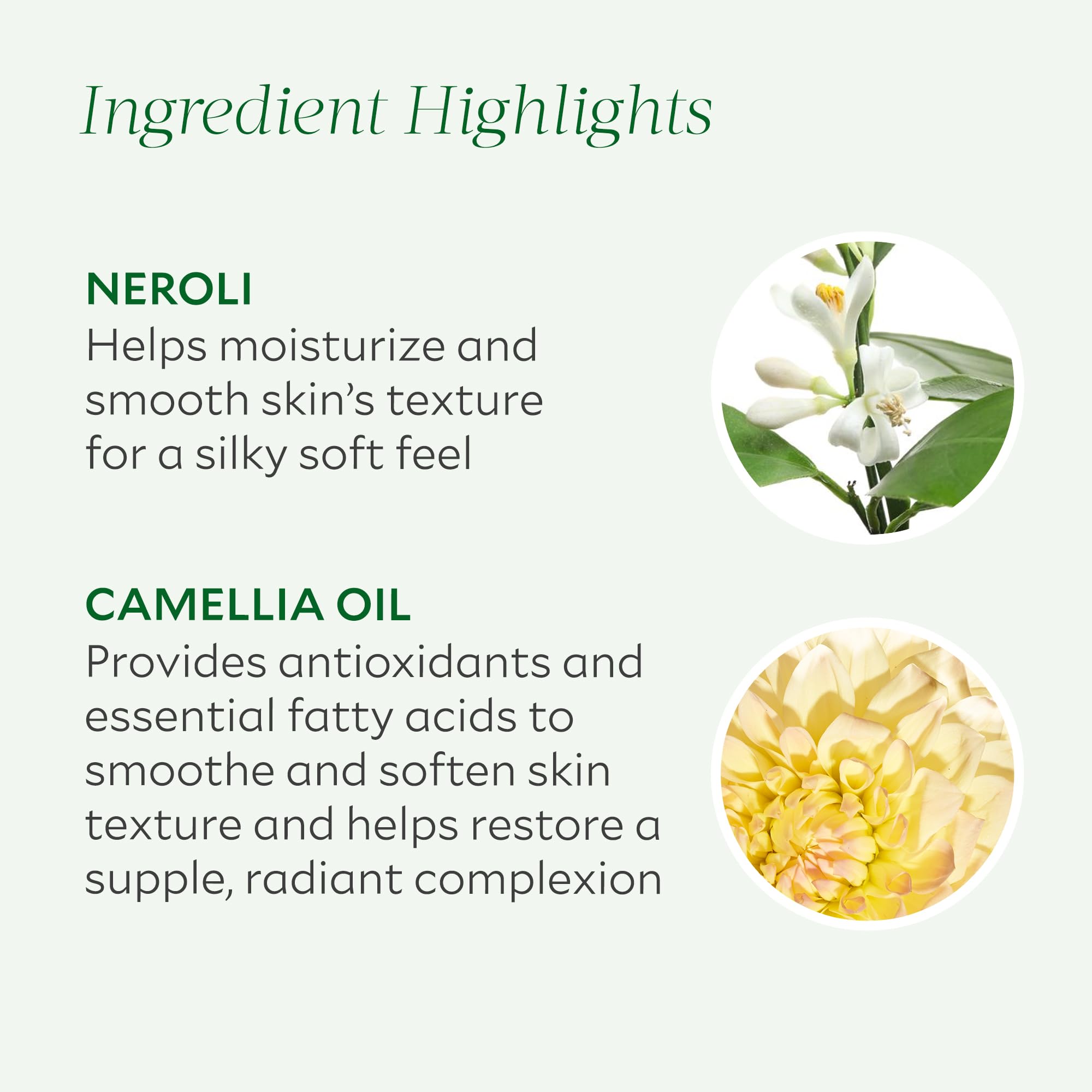 Tata Harper Revitalizing Body Oil on legs shows lasting moisture.