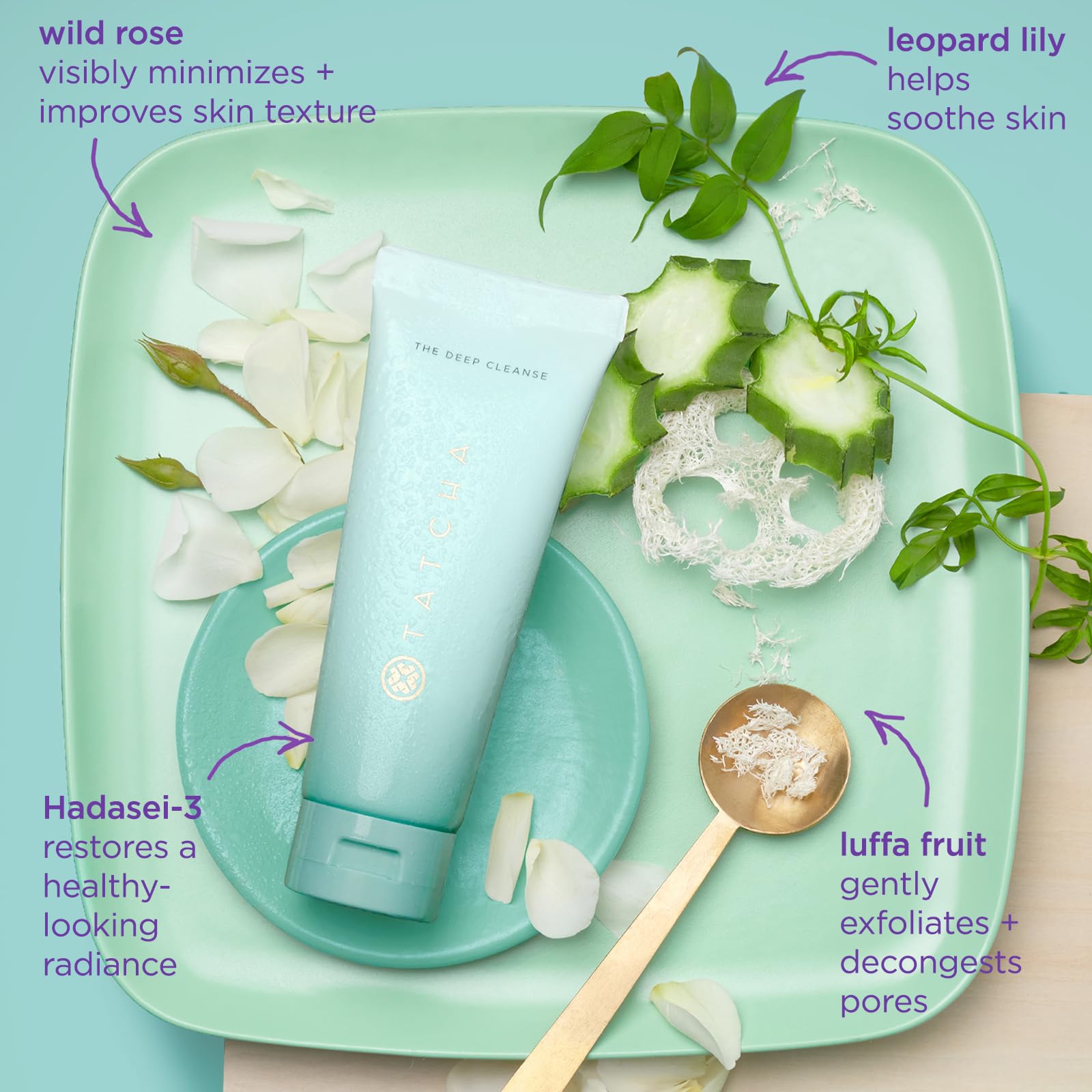 Tatcha Deep Cleanse texture image shows even, gentle exfoliation.