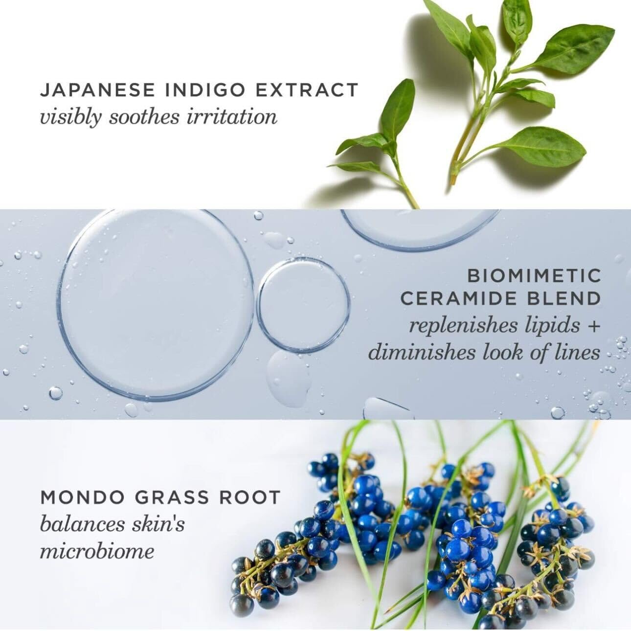 TATCHA Indigo ceramides and hyaluronic acid image underscores moisture retention.