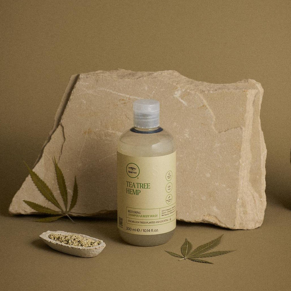 Forest fragrance scene highlights bergamot, eucalyptus, evergreen and cedarwood notes.