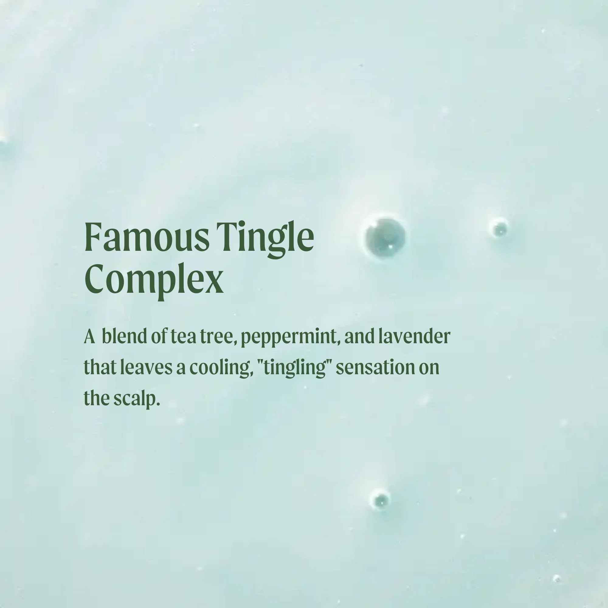 Tea Tree Special Shampoo tingling foam signals refreshing scalp sensation.