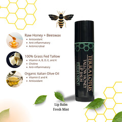 Terra Lotus lip balm ingredients tallow olive oil highlight nourishing blend on lips