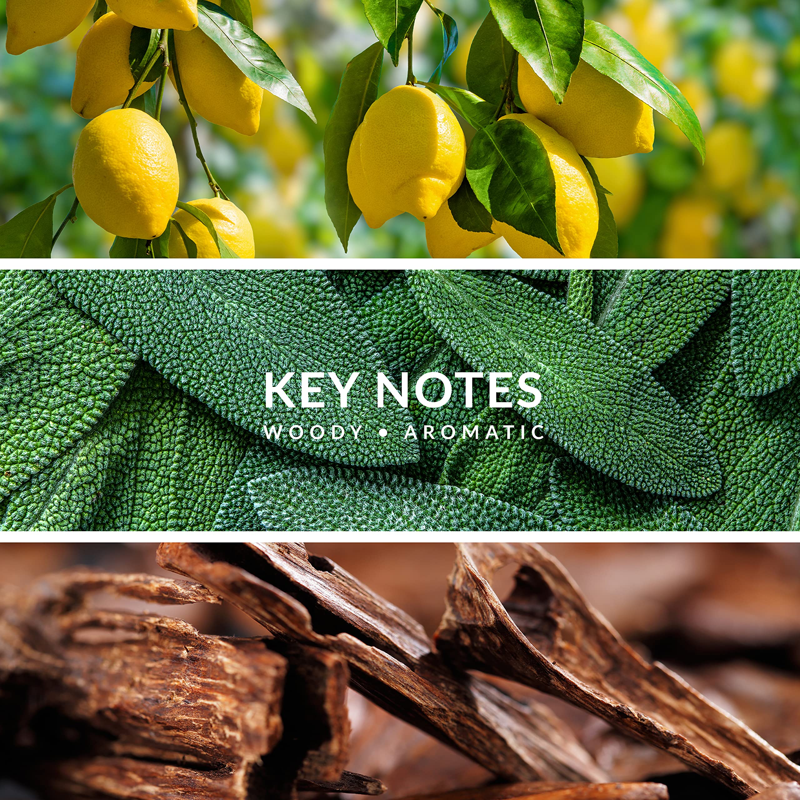 Territoire blue packaging emphasizes oceanic mood and premium presentation.