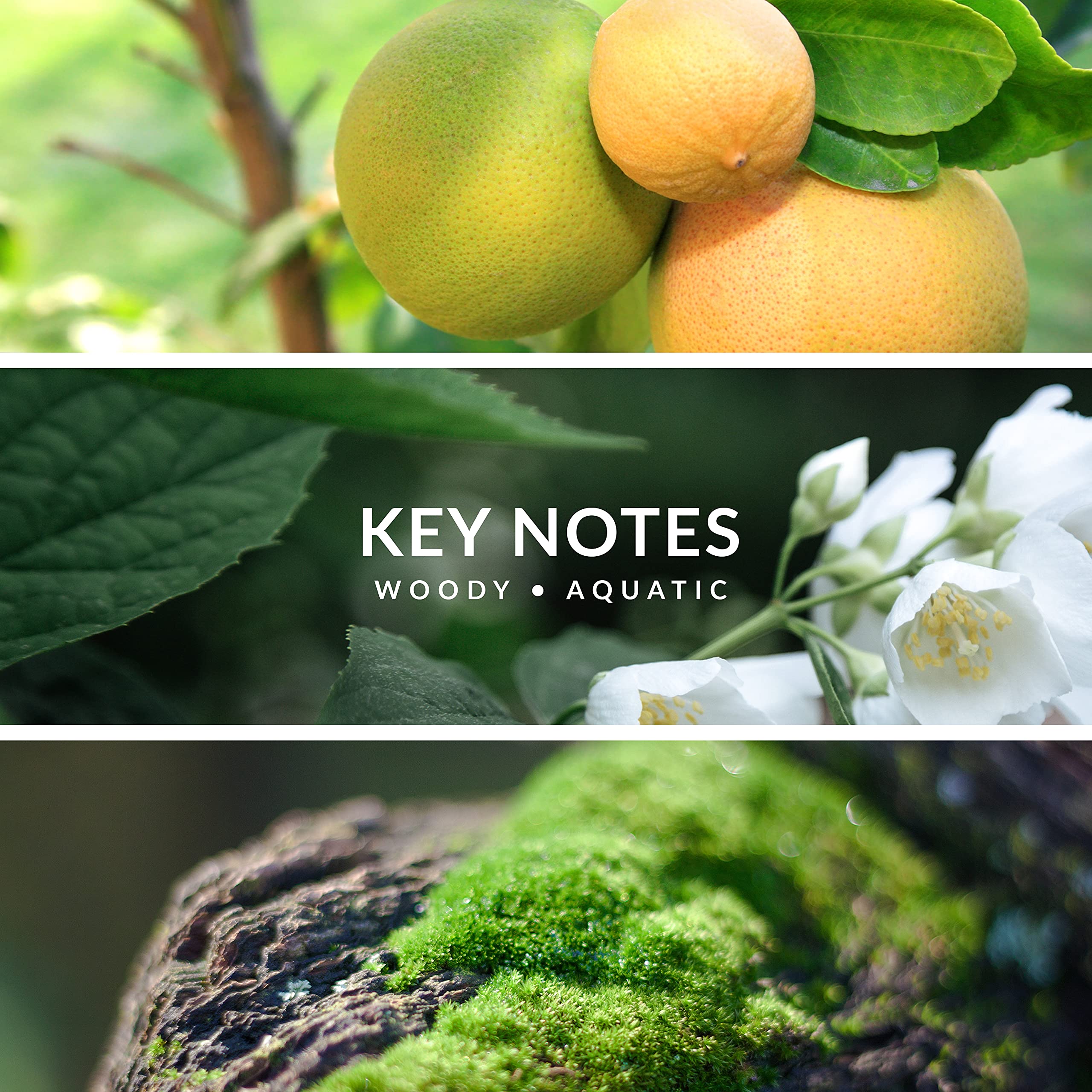 Territoire Platinum ambergris and patchouli base visual suggests warmth and lasting aroma.