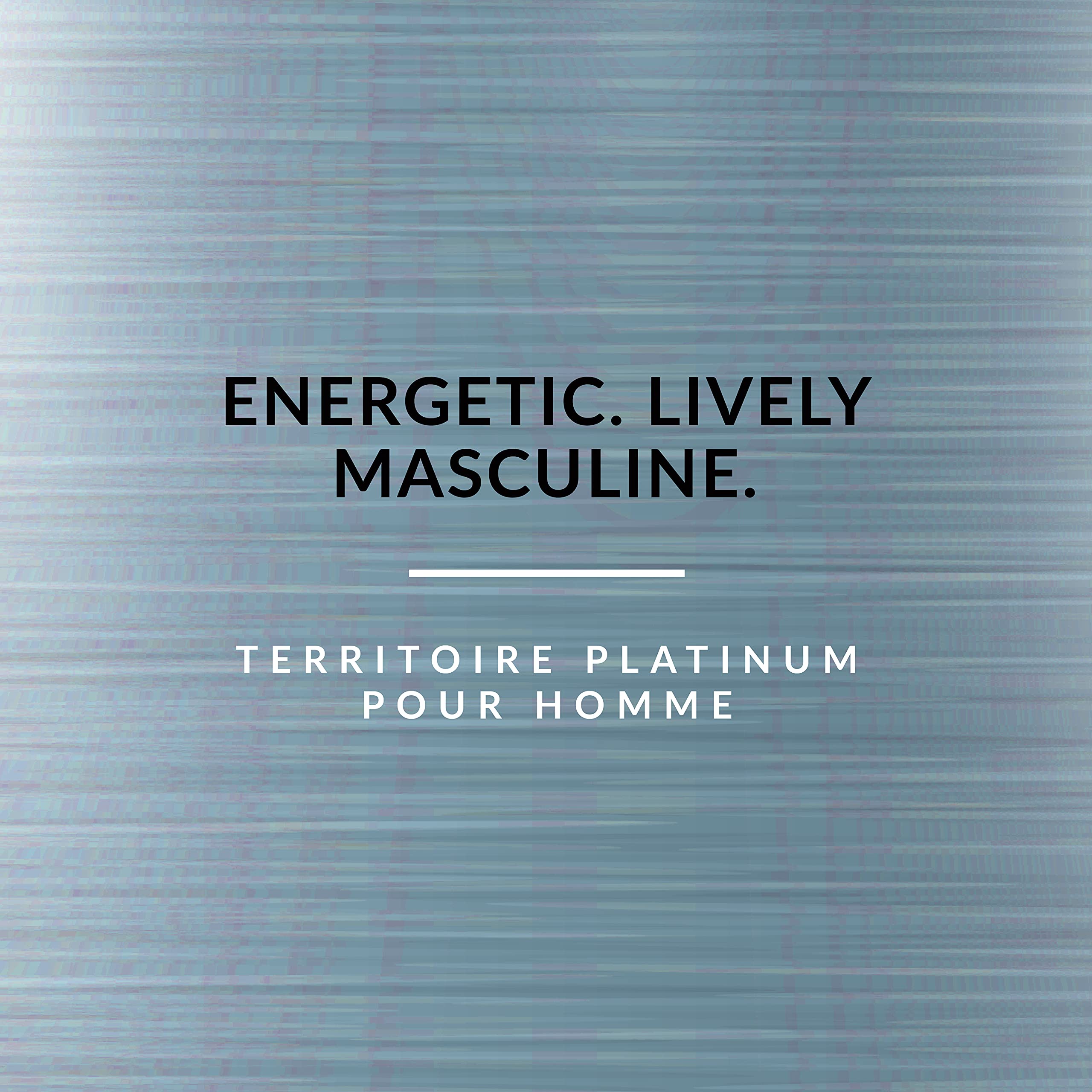 Territoire Platinum packaging box showcasing premium gifting appeal and unboxing delight.