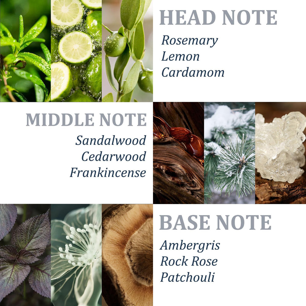 Tgideas forest-fragrance rosemary scent during wash for refreshing experience.