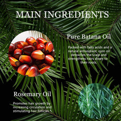 Tgideas Rosemary Batana Oil on hair texture and shine.