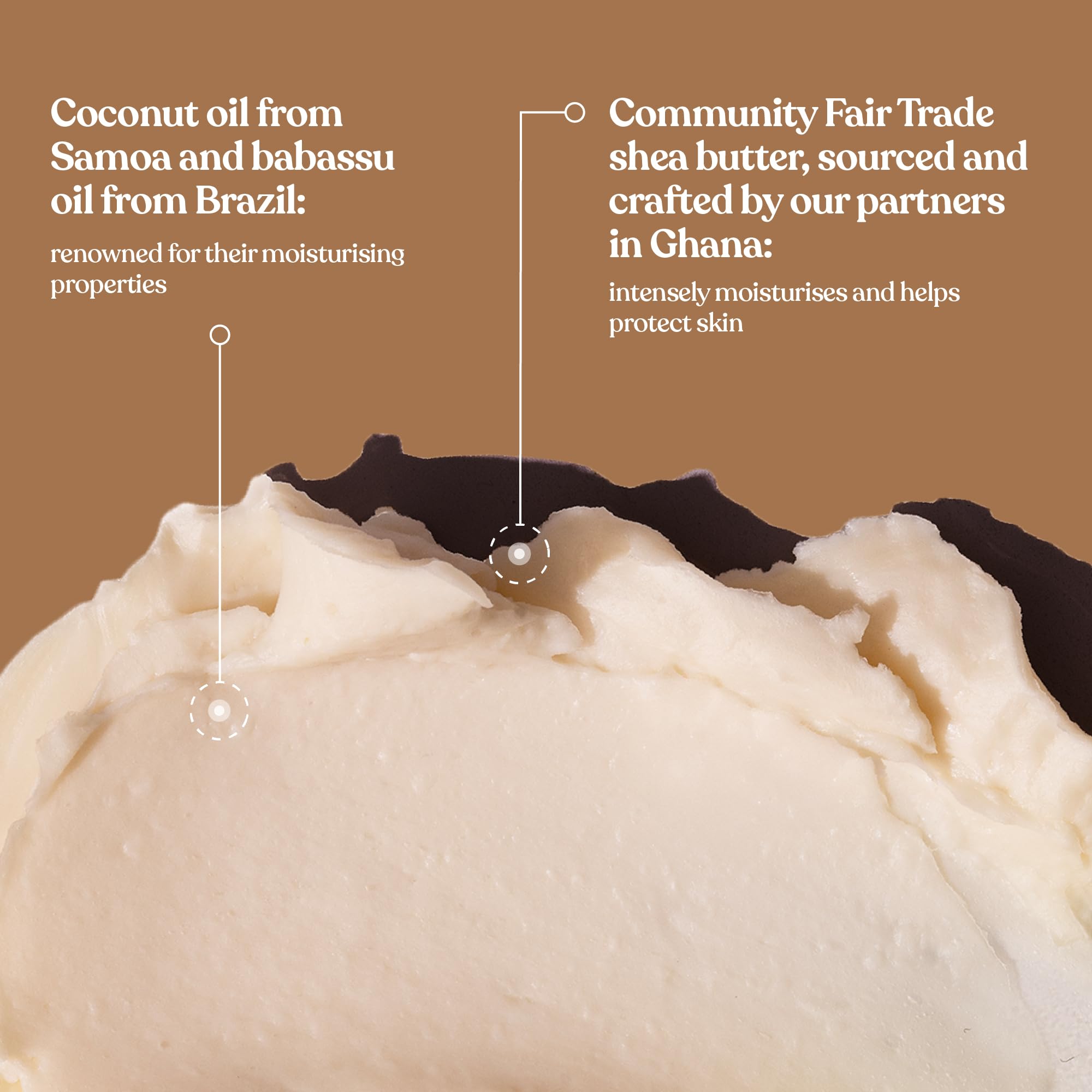 The Body Shop Community Trade virgin coconut oil image suggests tropical nourishment for skin