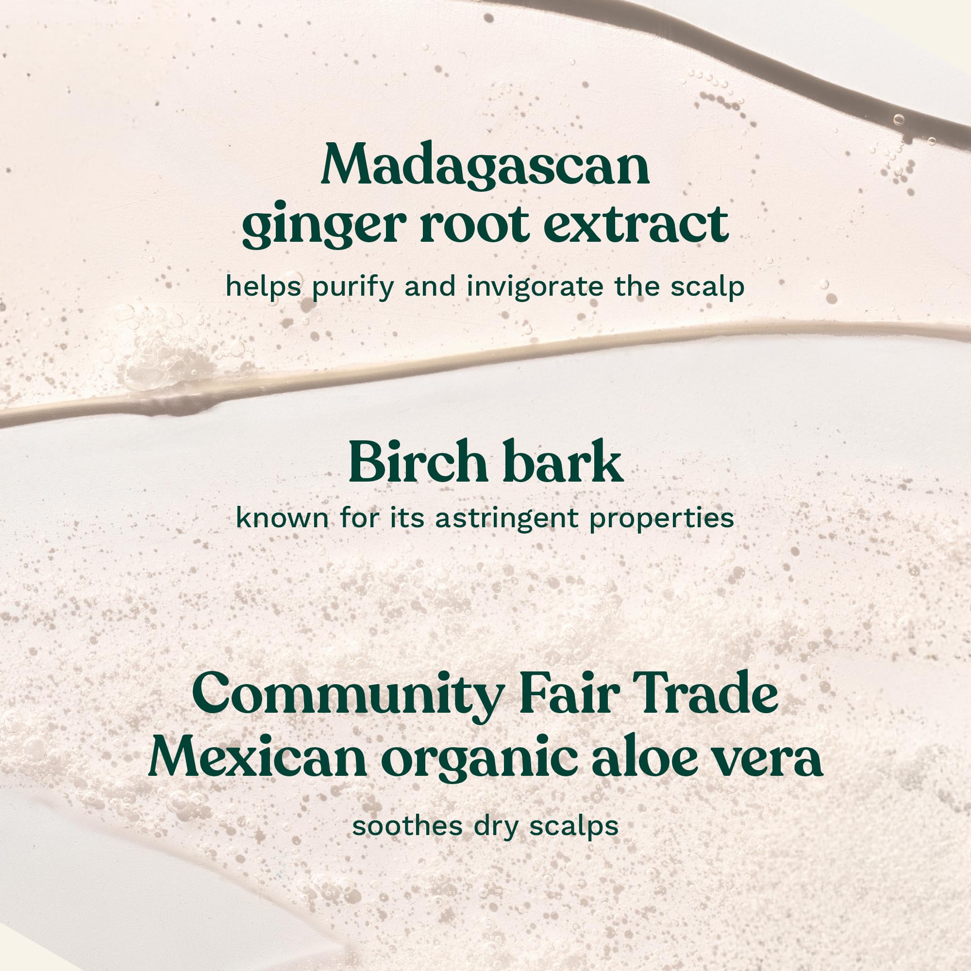 The Body Shop Ginger Scalp Care Shampoo eco-packaging highlights 100% recycled bottle.