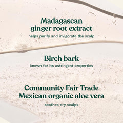 The Body Shop Ginger Scalp Care Shampoo label close-up highlighting vegan formula.