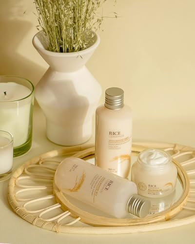 The Face Shop Rice Ceramide Cream nanotech concept emphasizes fine particle delivery for skin nutrients.