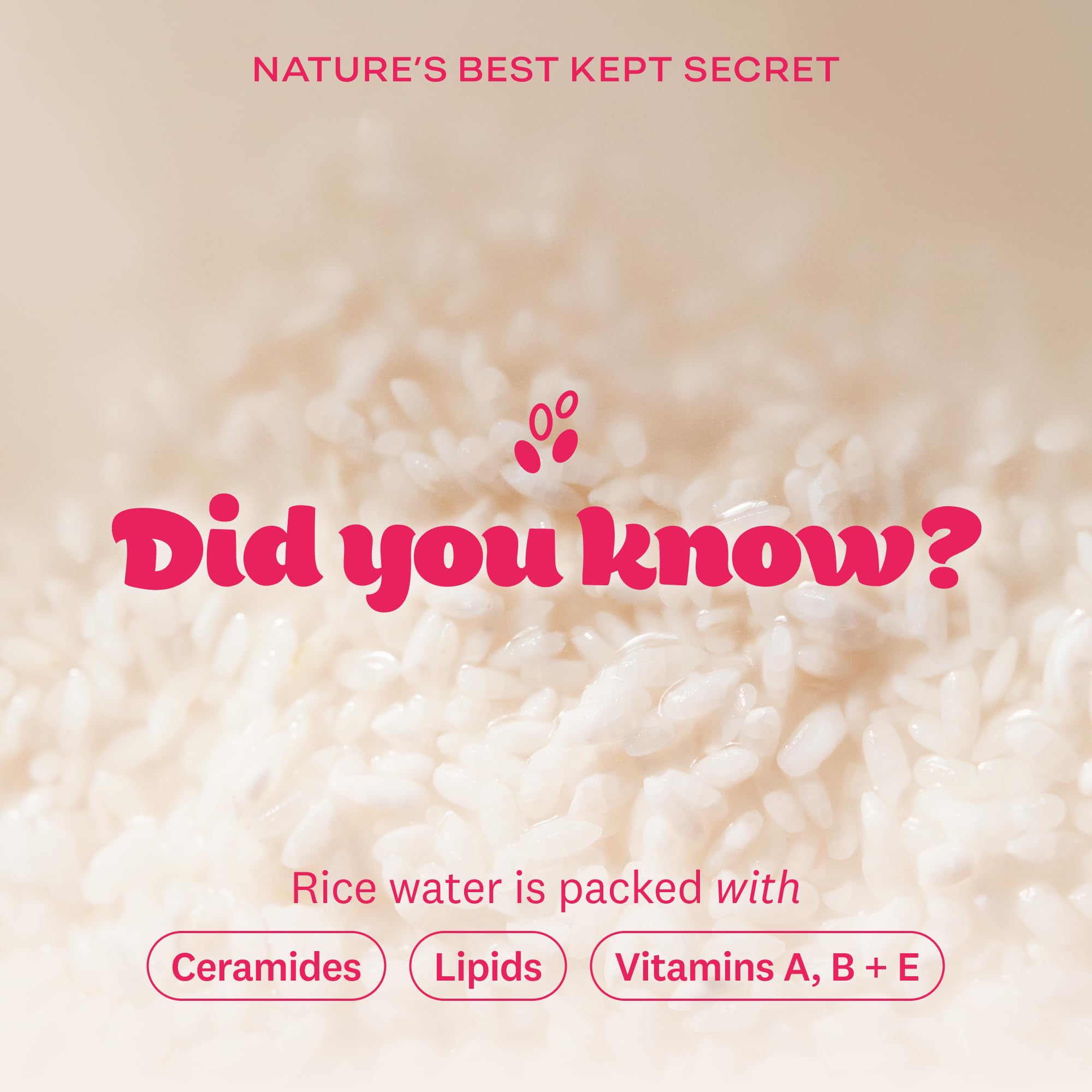 Korean skincare origin label on Rice Water Bright packaging