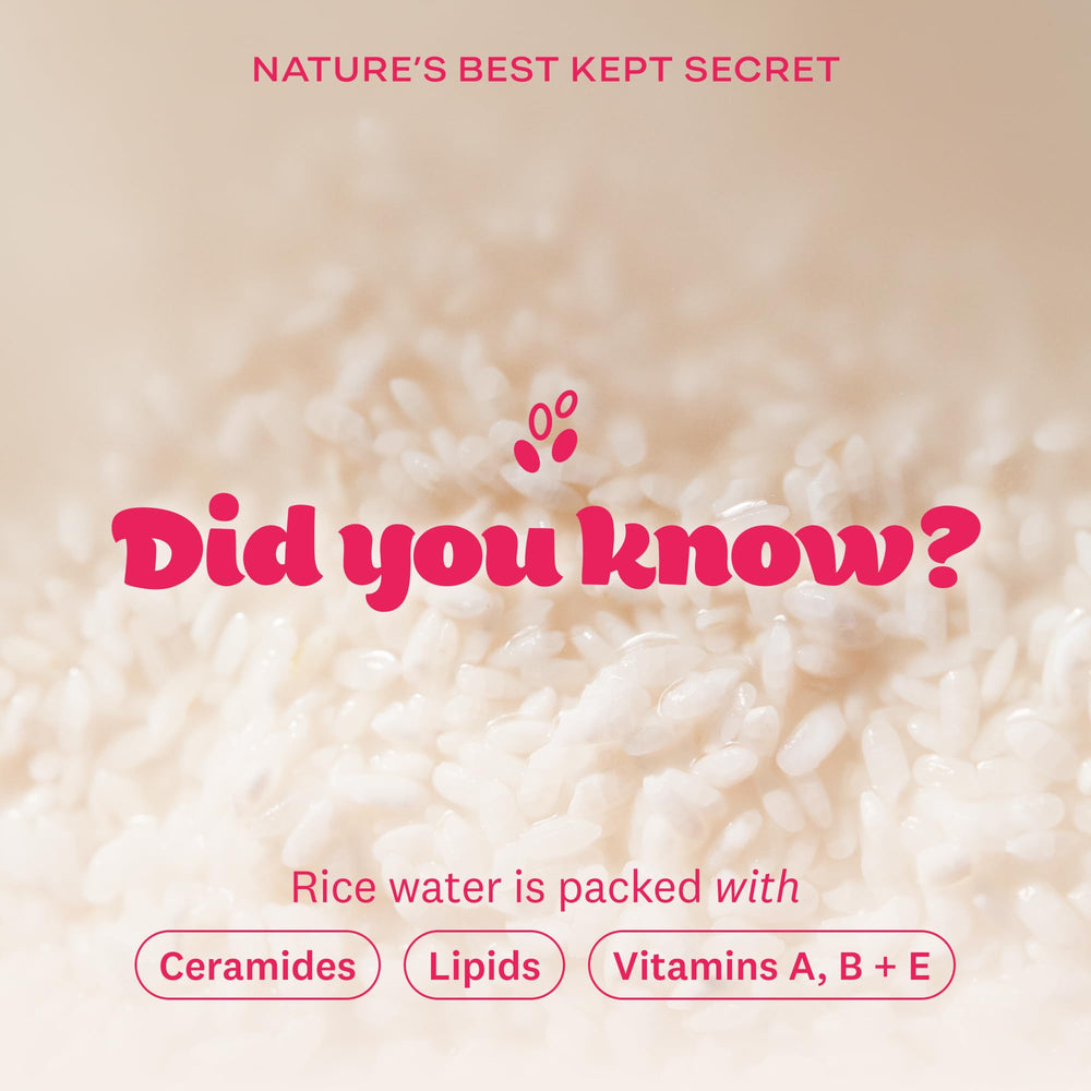 The Face Shop Rice Water Bright Made in Korea badge emphasizes authentic Korean skincare.