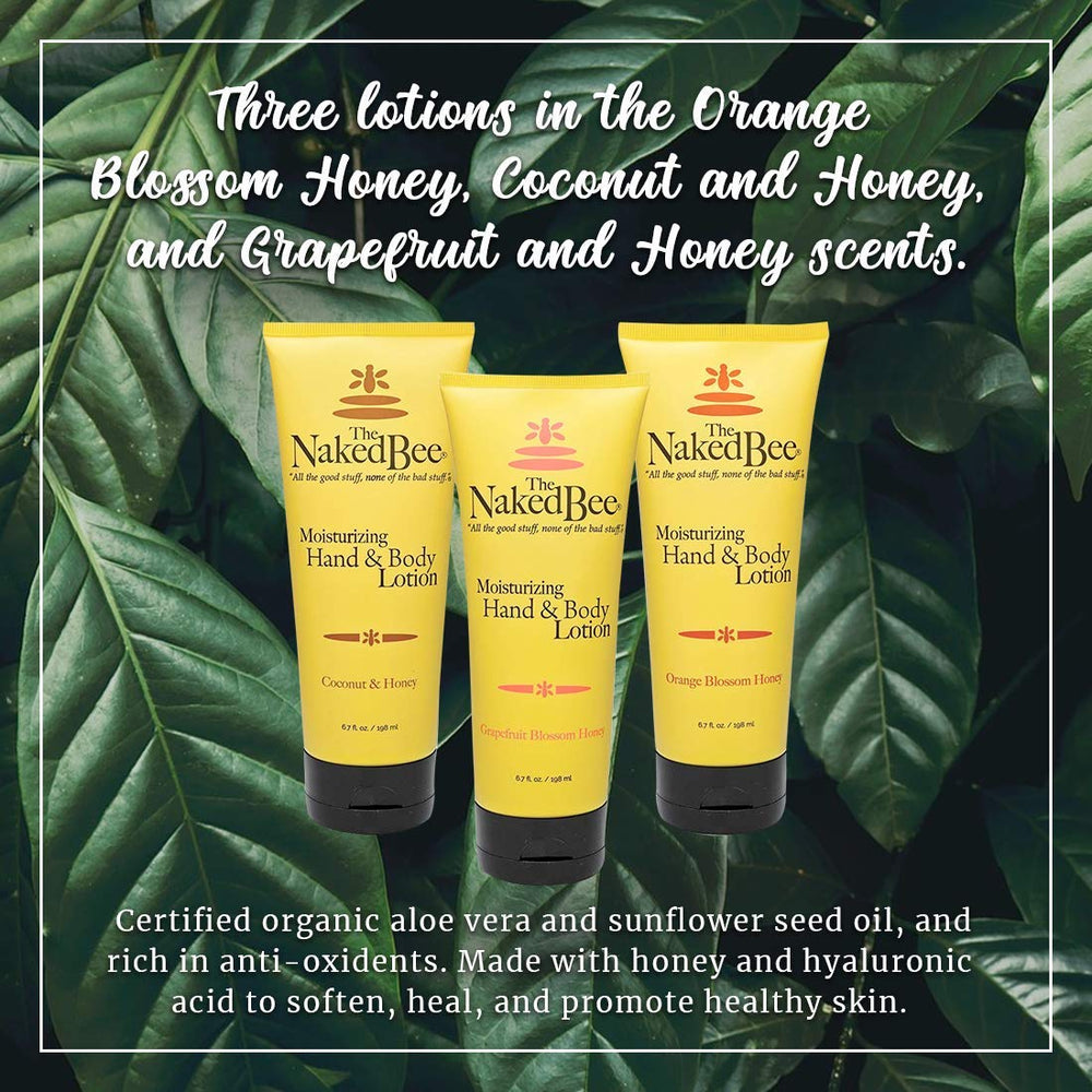 The Naked Bee coconut honey lotion tube offering tropical hydration
