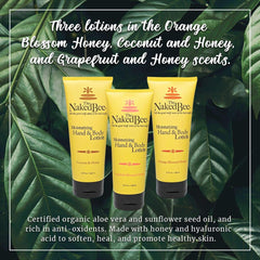 The Naked Bee coconut honey lotion tube offering tropical hydration