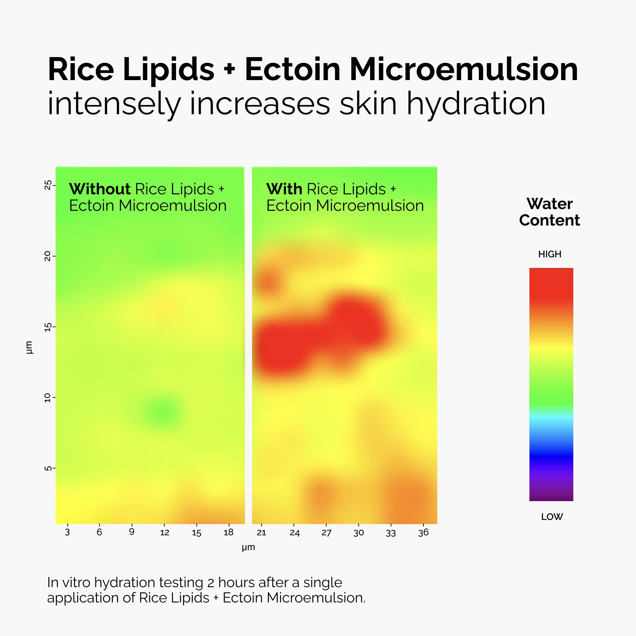 Scientific-style ectoin graphic with The Ordinary showing barrier support benefit