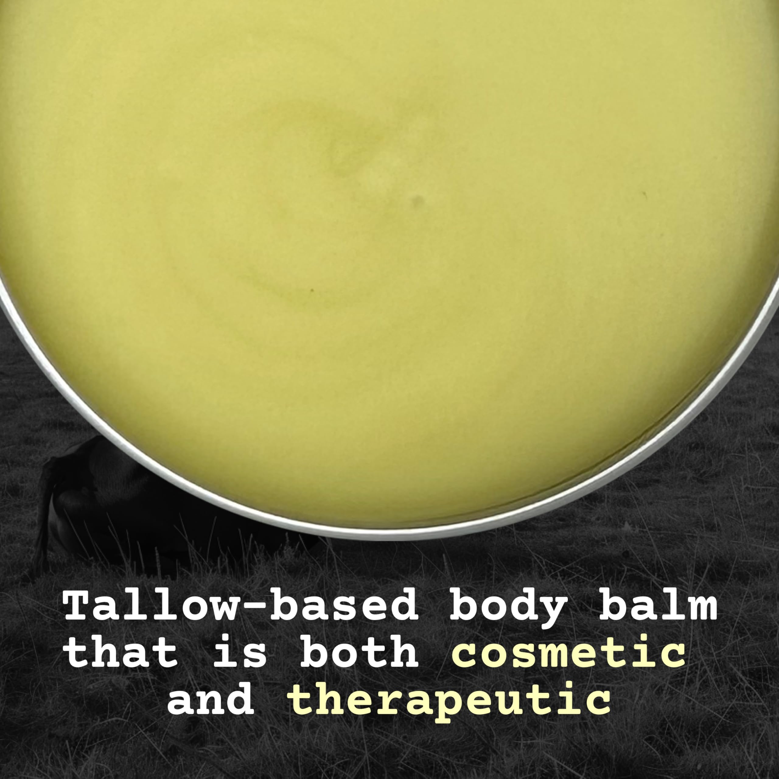 The Tallowed Truth F-Balm body application on rough elbows demonstrates smoothing hydration