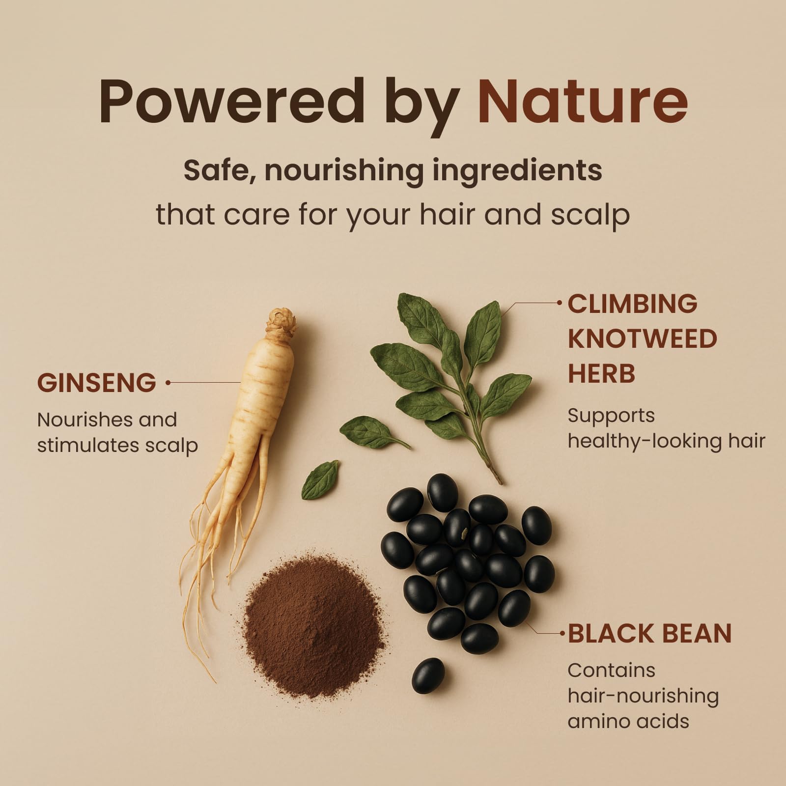The Face Shop Quick Hair Puff with Ha-Soo-Oh herb and ginseng for scalp-friendly care.