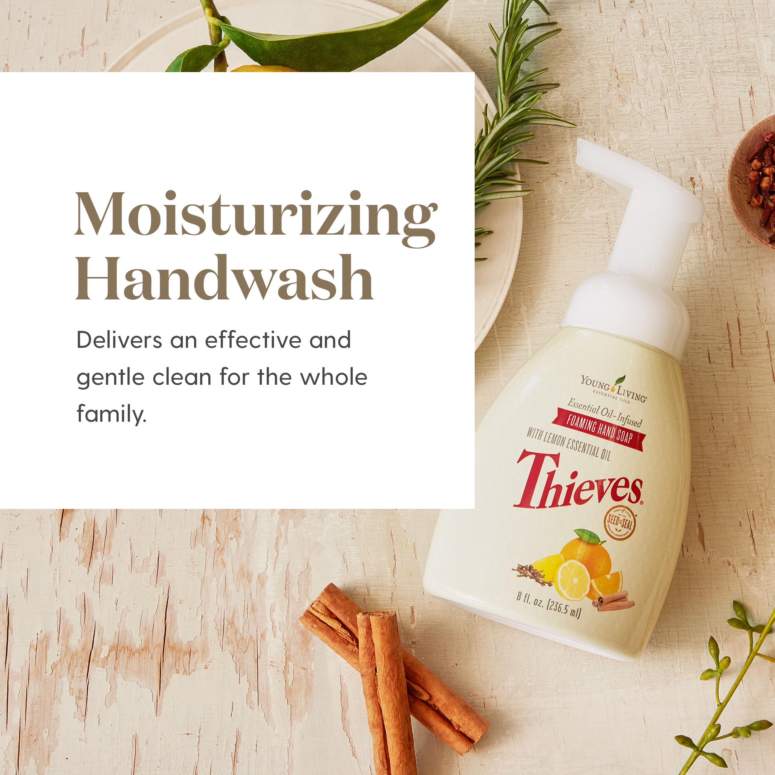 Ingredient spotlight showing aloe, ginkgo biloba, and green tea for moisturized skin