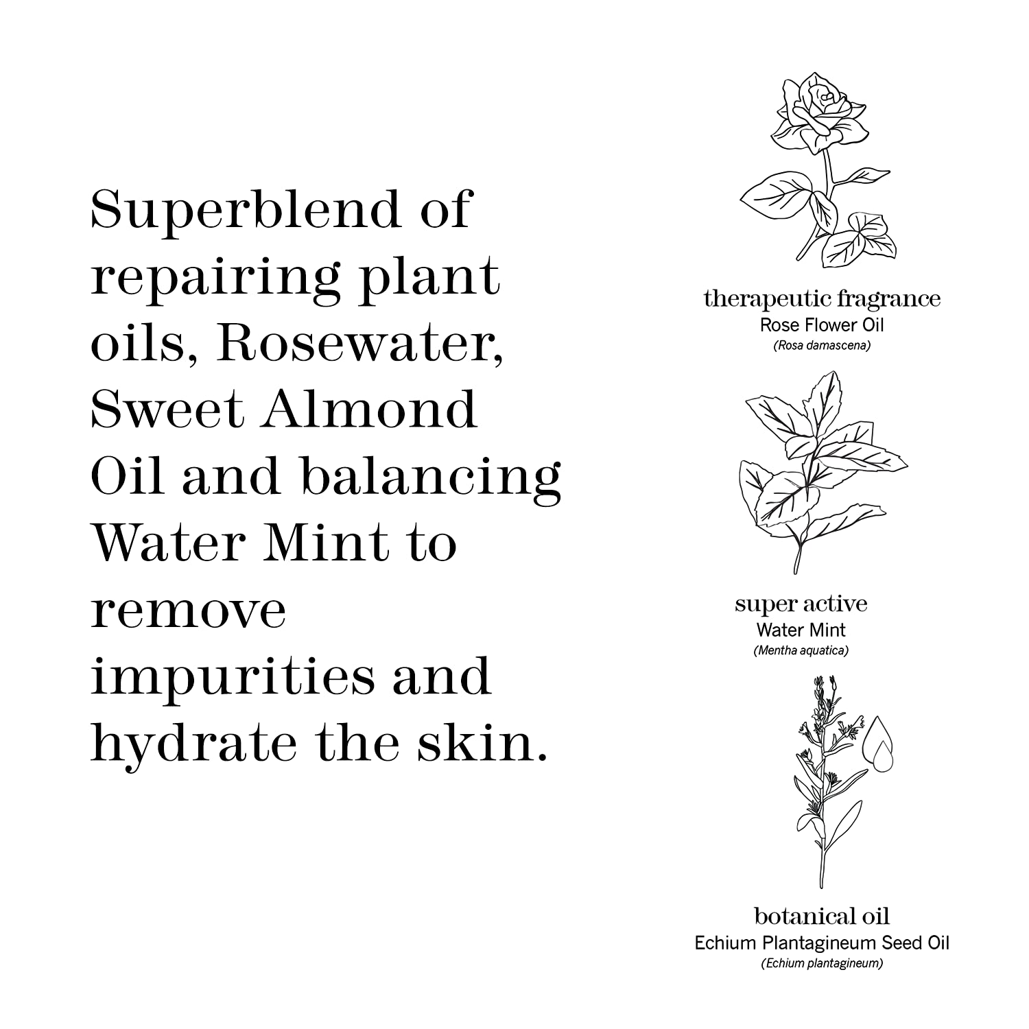 Ingredients close-up highlights rosewater, echium oil, and vitamin E in THISWORKS pads.