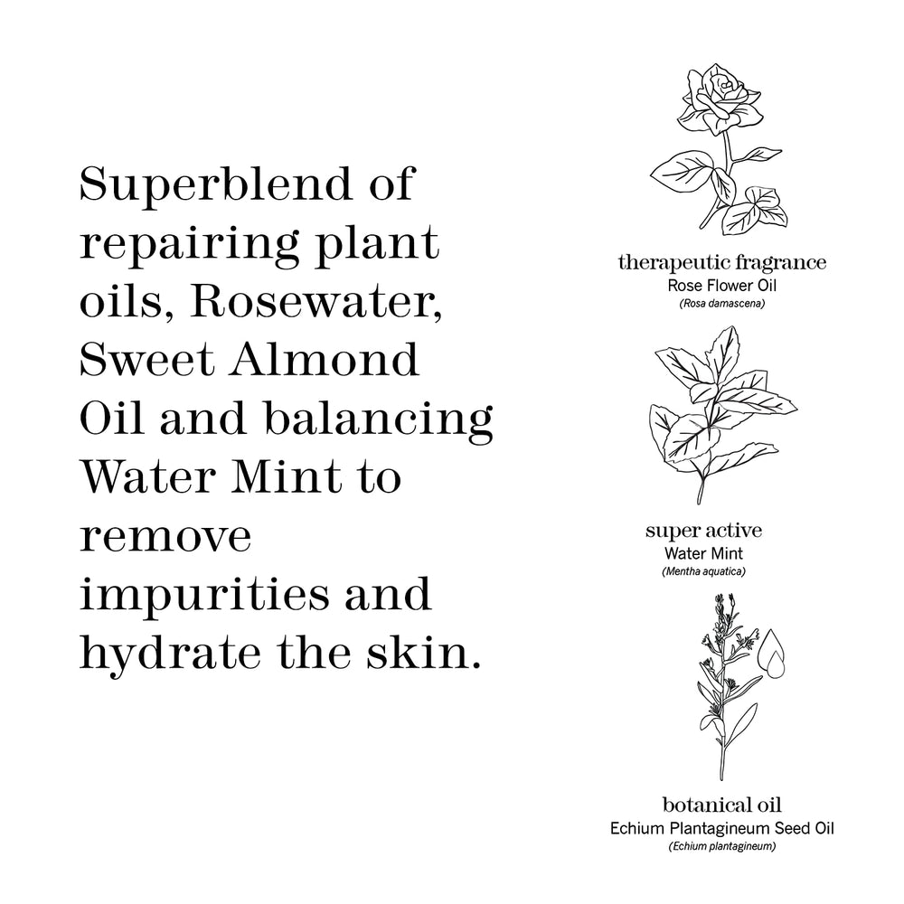 Ingredients close-up highlights rosewater, echium oil, and vitamin E in THISWORKS pads.