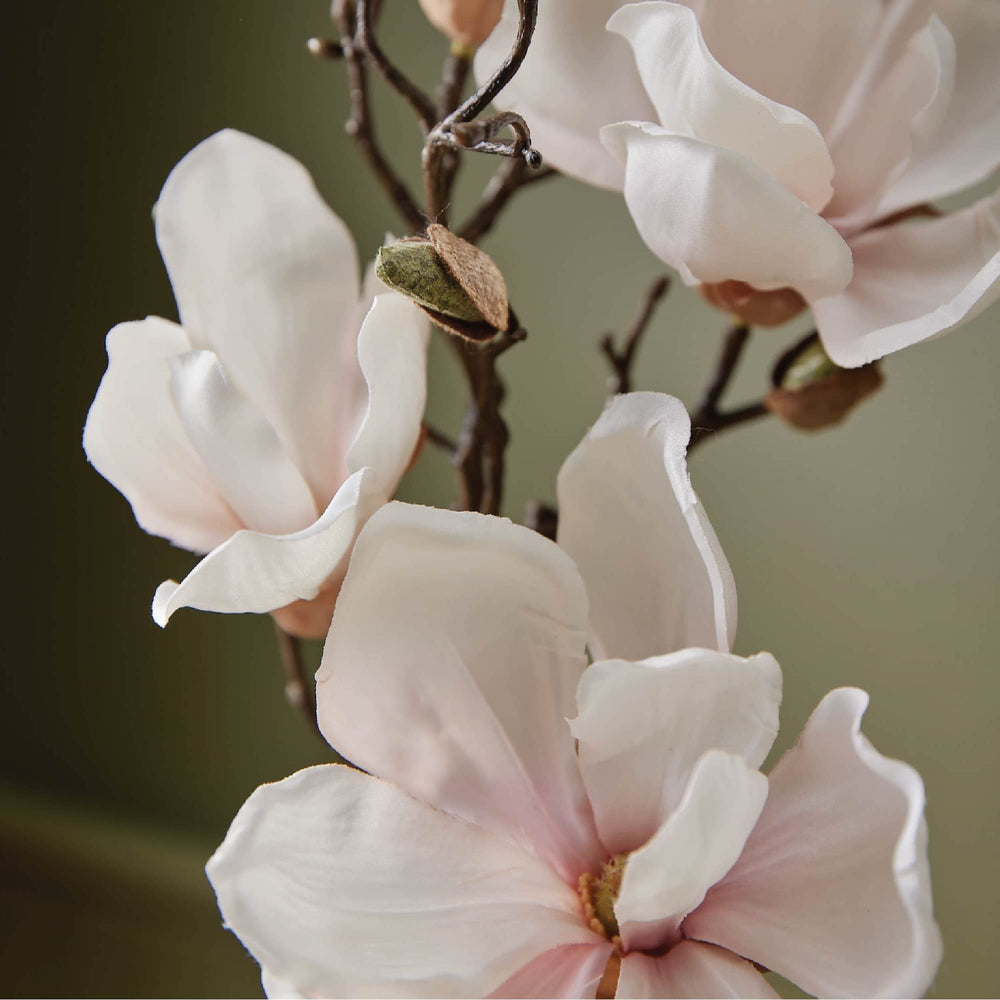 Thymes aloe vera swirl demonstrates soothing hydration for dry or irritated skin.