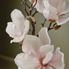 Thymes aloe vera swirl demonstrates soothing hydration for dry or irritated skin.