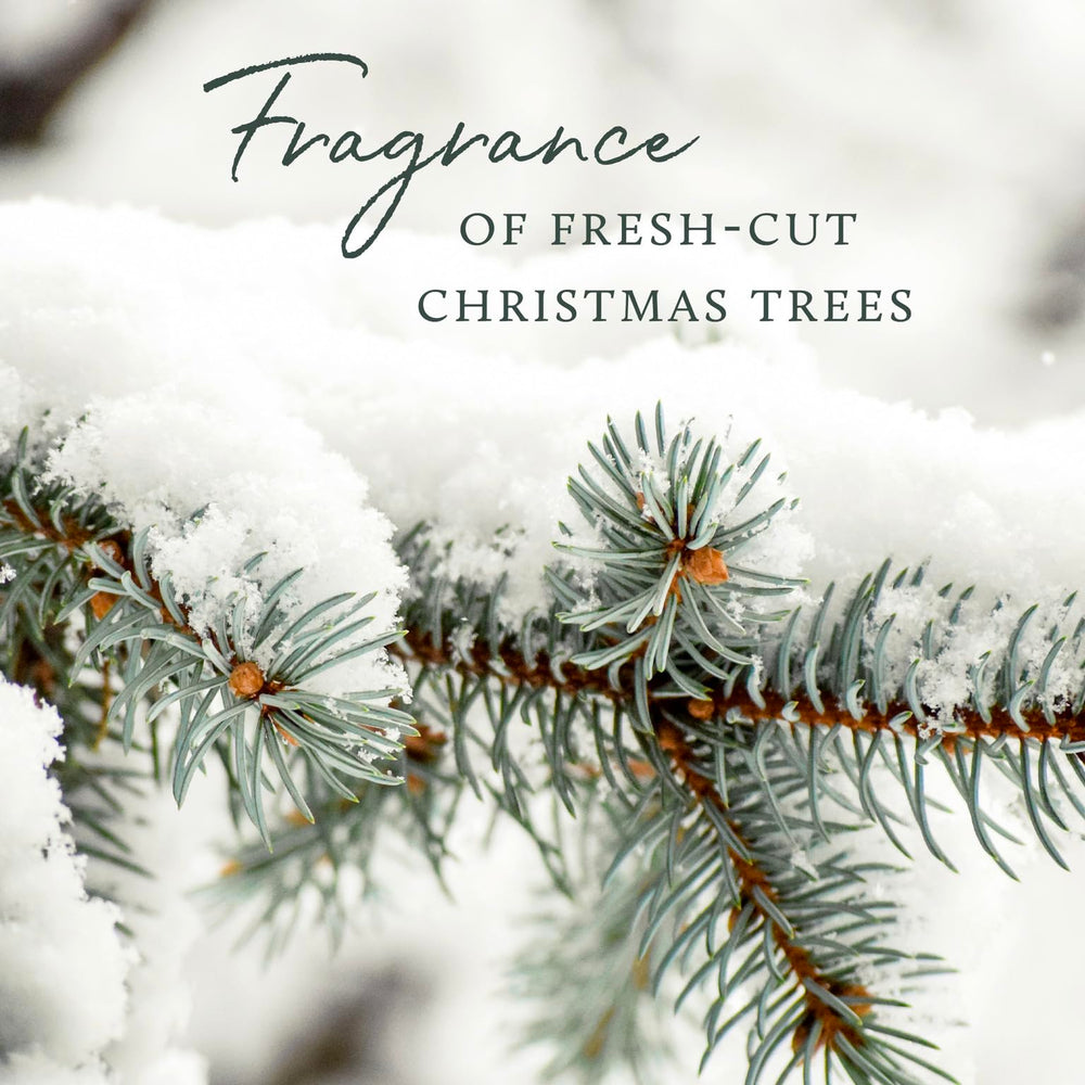 Thymes Frasier Fir bar soap forest fragrance emphasizes Siberian fir needles and cedarwood mood.