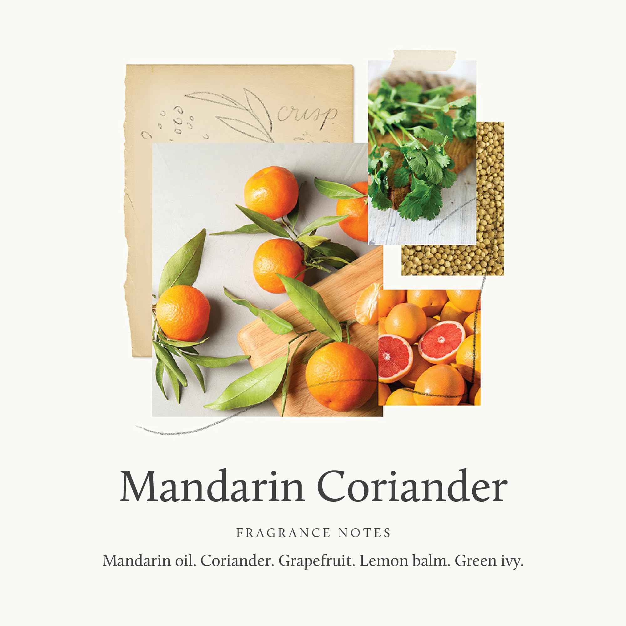 Thymes Hand Wash Mandarin Coriander packaging photo underscores artisan design and nature-inspired branding appeal.