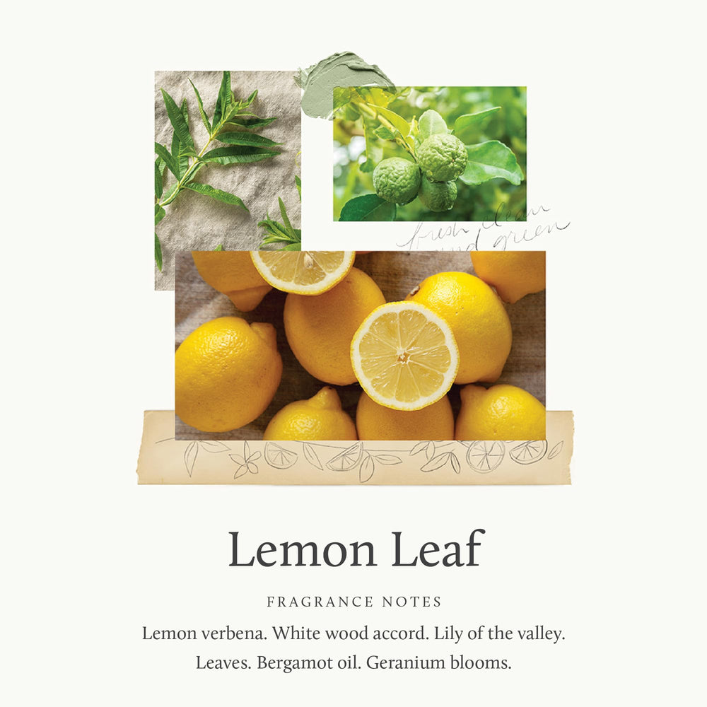 Thymes plant-based ingredients note emphasizing natural care for skin health.